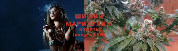 ECSTASY Нефтекумск