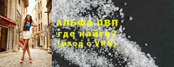 крисы Новозыбков