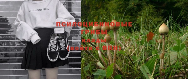 mdpv Нея
