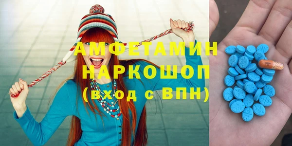 крисы Новозыбков